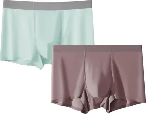 DGHM-JLMY Men's Ice Silk Summer Thin Underwear Seamless Solid Color Boyshort Breathable Boxer Briefs Shorts 2-Pack