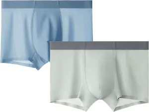 DGHM-JLMY Men's Ice Silk Summer Thin Underwear Seamless Solid Color Boyshort Breathable Boxer Briefs Shorts 2-Pack