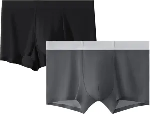 DGHM-JLMY Men's Ice Silk Summer Thin Underwear Seamless Solid Color Boyshort Breathable Boxer Briefs Shorts 2-Pack