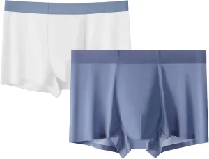 DGHM-JLMY Men's Ice Silk Summer Thin Underwear Seamless Solid Color Boyshort Breathable Boxer Briefs Shorts 2-Pack