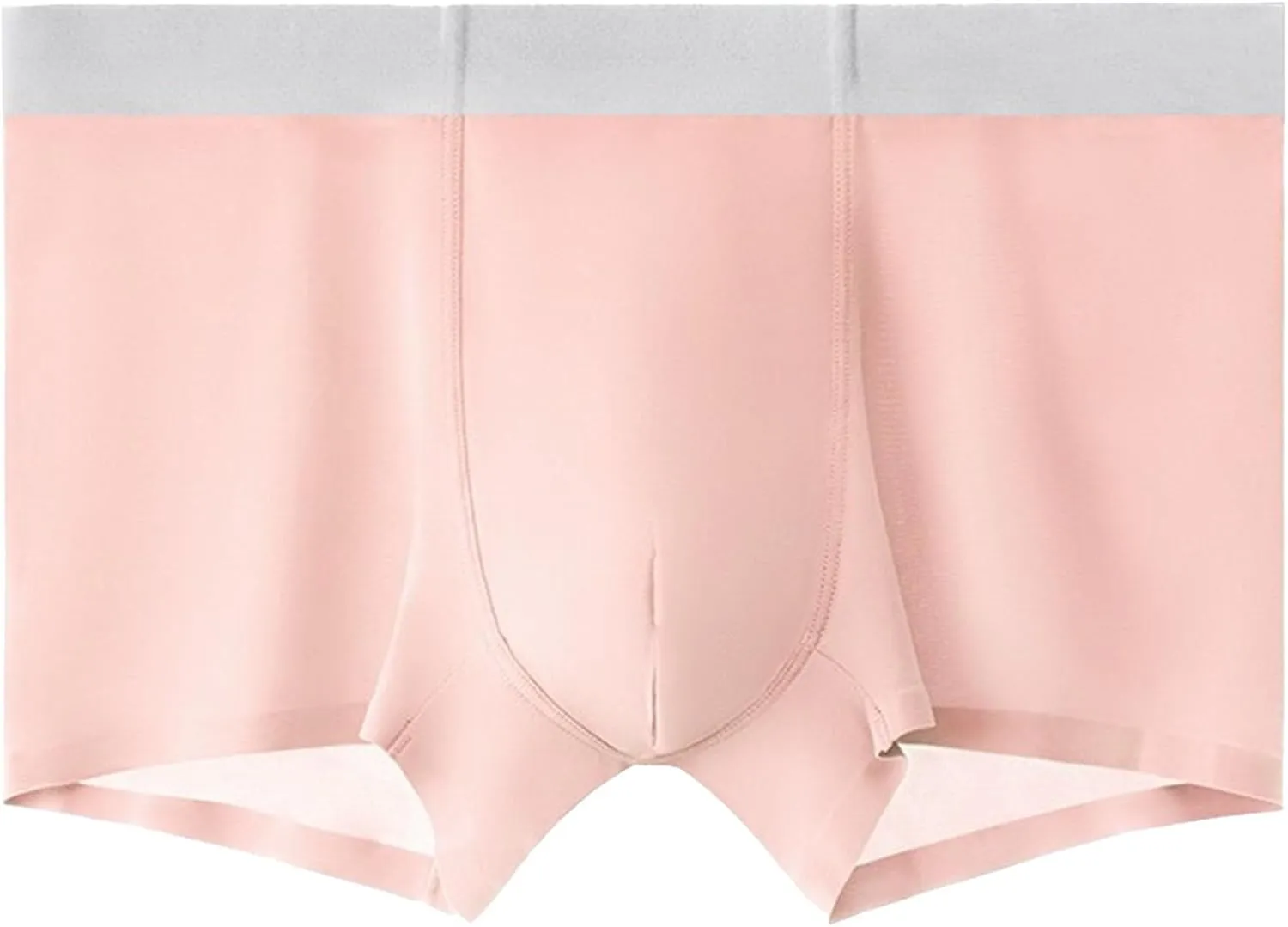 DGHM-JLMY Men's Ice Silk Summer Thin Underwear Seamless Solid Color Boyshort Breathable Boxer Briefs Shorts 2-Pack