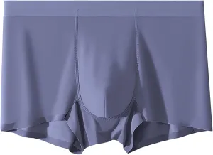 DGHM-JLMY Men's Seamless Underwear Trunks Shorts Ice Silk Sexy Transparent Underpants Lightweight Breathable Boxer Briefs