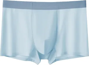 DGHM-JLMY Men's Seamless Underwear Trunks Shorts Ice Silk Sexy Transparent Underpants Lightweight Breathable Boxer Briefs
