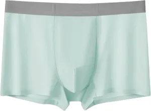 DGHM-JLMY Men's Seamless Underwear Trunks Shorts Ice Silk Sexy Transparent Underpants Lightweight Breathable Boxer Briefs