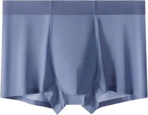 DGHM-JLMY Men's Seamless Underwear Trunks Shorts Ice Silk Sexy Transparent Underpants Lightweight Breathable Boxer Briefs