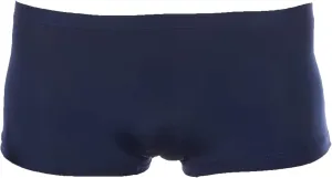 JEKE-DG Men's Ice Silk Breathable Boxer Briefs Sexy Low Rise Trunks Underwear Traceless Transparent Briefs