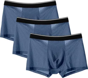 JEKE-DG Mens Ice Silk Breathable Mesh Boxers Sexy See Through Trunk Underwear Thin Bulge Pouch Boxer Briefs