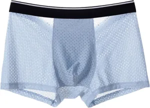JEKE-DG Mens Ice Silk Breathable Mesh Boxers Sexy See Through Trunk Underwear Thin Bulge Pouch Boxer Briefs