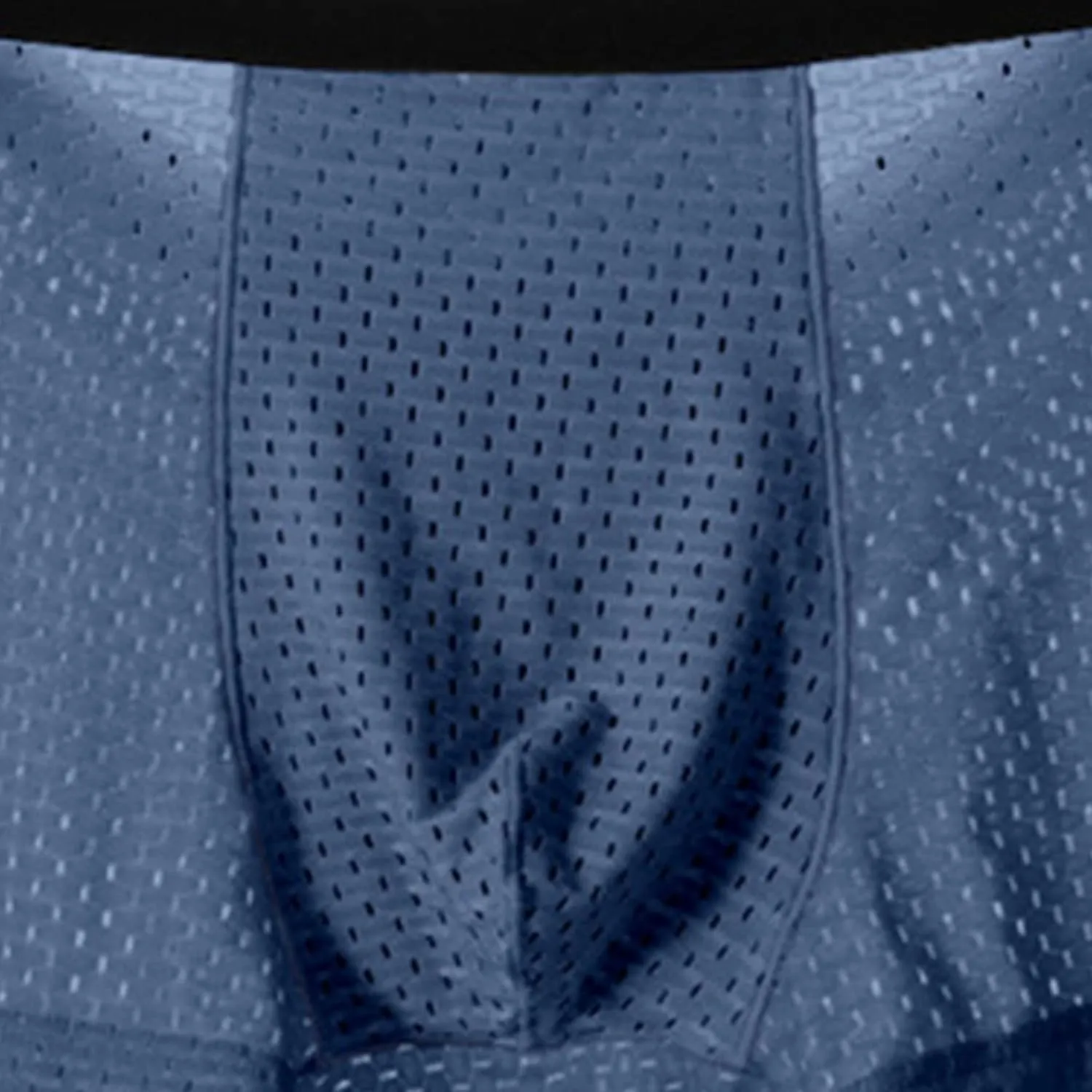 JEKE-DG Mens Ice Silk Breathable Mesh Boxers Sexy See Through Trunk Underwear Thin Bulge Pouch Boxer Briefs