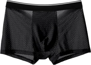 JEKE-DG Mens Ice Silk Breathable Mesh Boxers Sexy See Through Trunk Underwear Thin Bulge Pouch Boxer Briefs