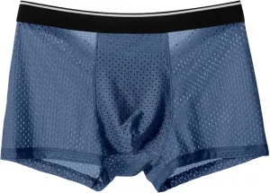 JEKE-DG Mens Ice Silk Breathable Mesh Boxers Sexy See Through Trunk Underwear Thin Bulge Pouch Boxer Briefs