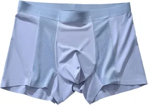 JEKE-DG Men's Mesh Ice Silk Underwear Comfortable Modal Boxer Briefs Soft Breathable Pouch Boxer Trunks Underpants