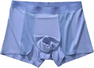 JEKE-DG Men's Mesh Ice Silk Underwear Comfortable Modal Boxer Briefs Soft Breathable Pouch Boxer Trunks Underpants
